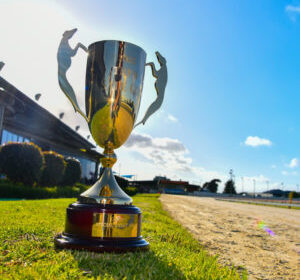 2022-Sale-Cup-Trophy-5-scaled-300x350-1-