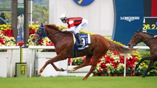 20221211-ST-R4-A90I2537sk-scaled-1-500x2