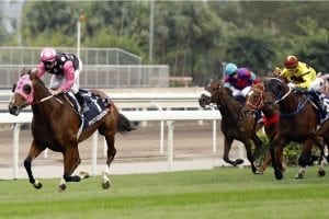 Beauty Generation bludgeons 2018 HK Mile field