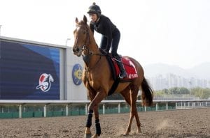 Tide is high for Balding's 'Blondie' in HK Cup