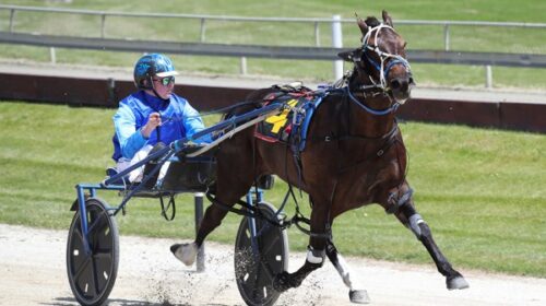 Celtic-Spirit-GP-day-Addington-Dec-2022_