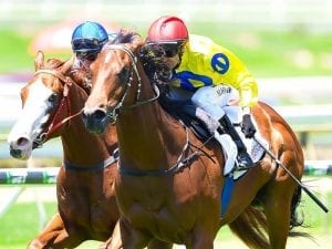 Blue Book makes it three on end at Doomben