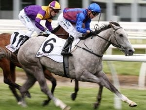 Waterhouse/Bott step up carnival push