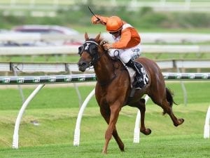 Nozi repays owners' faith at Doomben