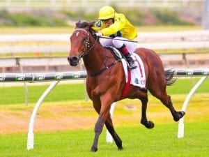 Rodd in Doomben call-up for Blue Book ride