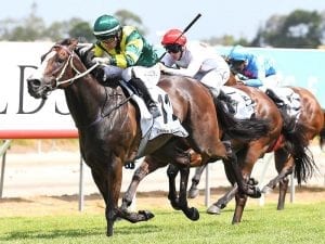 Care To Think remains on course for Cup