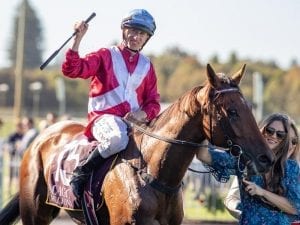 Arcadia Queen in Golden Eagle market