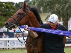 Hawker Hurricane to miss Magic Millions