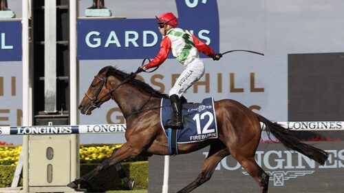 Horse-fireburn-174683-750x500-copy-500x2