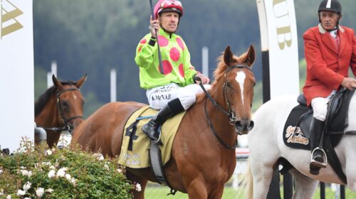 Impendabelle-Wakefield-Challenge-Stake-s