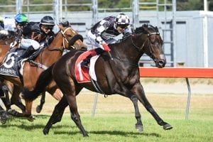 Kawi winning the G1 Captain Cook