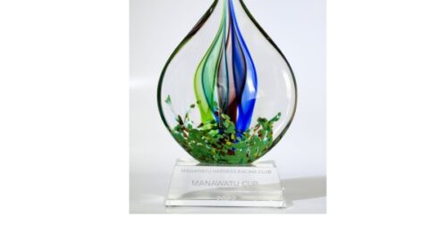 New-Manawatu-Cup-blog-2022__ResizedImage