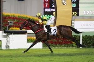 Future Stars On Show Throughout HKIR Undercard