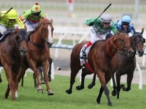 Amadeus at Pakenham