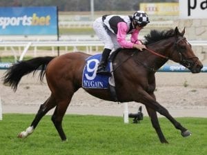 Beauty Way scores debut Australian victory