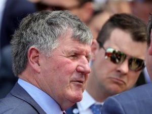 Berisha ready to launch in Pakenham Cup
