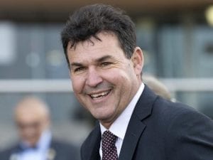 All In Brawl to kick off summer campaign