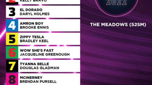 Phoenix-full-field-graphic-1024x1024-1-5