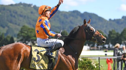 Prise-De-Fer-Captain-Cook-scaled-1-500x2