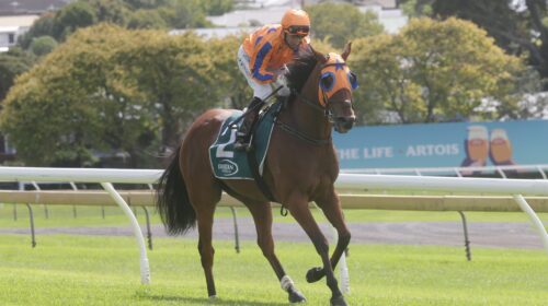 Prise-De-Fer-return-TD-scaled-1-500x280.