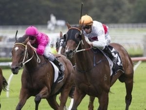 Cordero stays true to new staying prep strategy