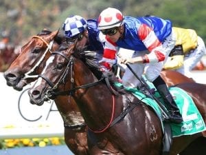 Single Bullet aims for Magic Millions shot