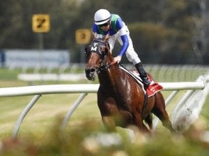 Gambler's Blues wins first race in over 1.5 years