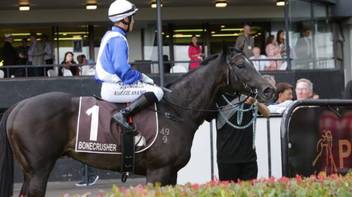 Sacred-Satono-c-3036-scaled-1-500x280.jp