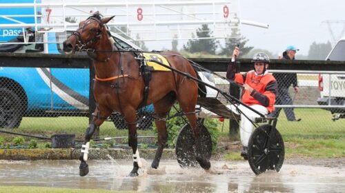 Sam-Thornley-blog-Rangiora-50th-Dec-2022