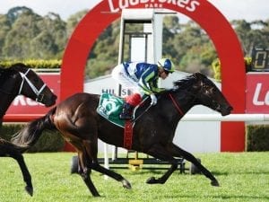 Sandown racing tips & value bets - Wednesday, 9 December 2020