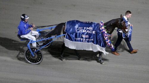 Self-Assured-The-Race-blog-image-v2__Res