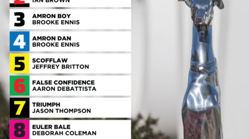 Silver-Chief-Box-Draw-graphic-1024x1024-