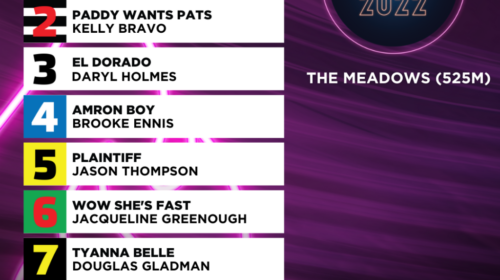 The-Phoenix-box-draw-graphic-1024x1024-1