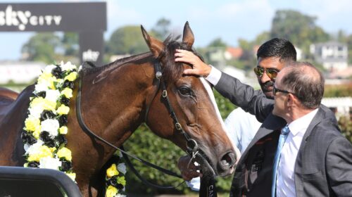 Tiptronic-Richardson-G-1337-scaled-1-500