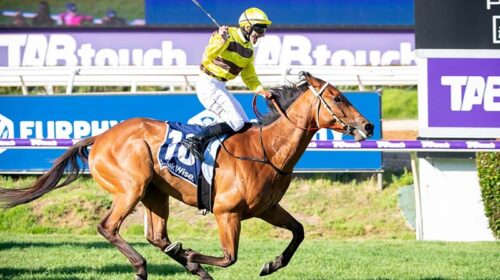 Trix-Of-The-Trade-1536x1024-copy-500x280