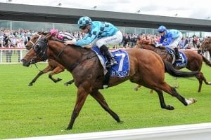 Bel Sonic wins at Pakenham