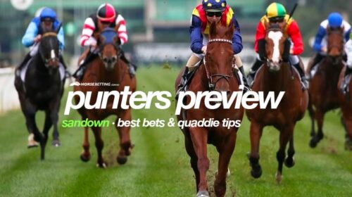 sandown-pp-4-500x280.jpg
