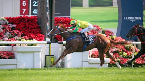 1_20211212-ST-R5-A90I5850sk-scaled-1-500