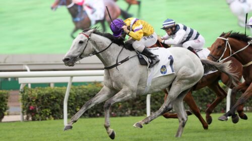 20210405_STRC_R2_90I9575sk-scaled-1-500x