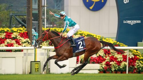 20221211-ST-R8-A90I5239sk-scaled-2-500x2