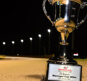 2023-Warragul-Cup-Trophy-scaled-300x350-