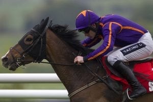 Classy hurdler Arctic Fire primed for fencing debut