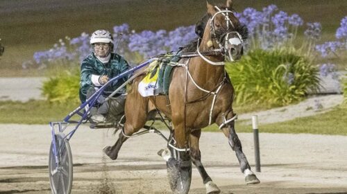 Blair-Orange-Copy-That-action-ballarat-C