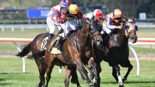 CAN-I-GET-AN-AMEN-WRC-19-3-2022-RACE-IMA