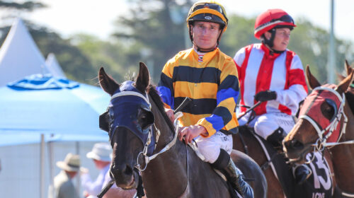 Daniel-Stackhouse-Oso-Savvy-09.11.22-RIS