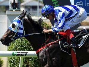 Senior rider policy a key for Doomben win of Bat A Kat