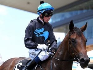 Snicki Minaj earns Inglis Classic start