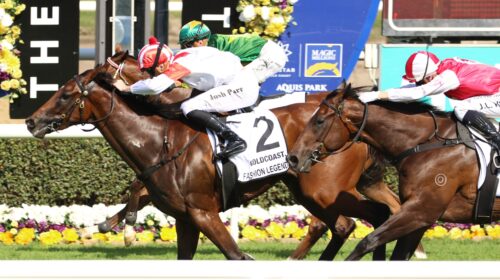 Fashion-Legend-3YO-Guineas-500x280.jpeg