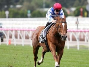 All-Star Mile on radar for Redkirk Warrior