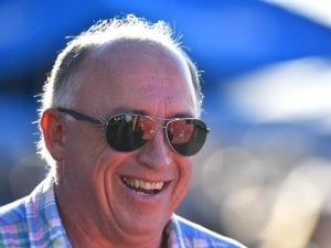 Love And Rock It firms in Magic Millions Maiden calculations